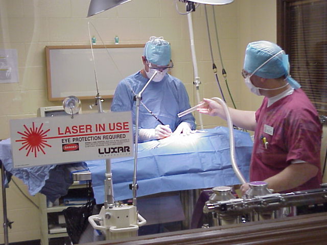 LaserSx.jpg (58454 bytes)